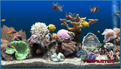 Marine Aquarium Wallpaper - WallpaperSafari