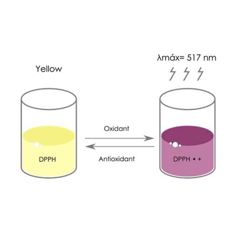 Colorimetric ROS assay-DPPH Antioxidant Assay