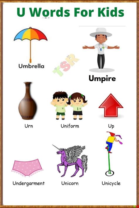 Learn Vocabulary Words That Start With U For Kids | Kids Learning ...