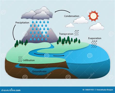 bright Restraint Frustrating labeled water cycle diagram Day ...