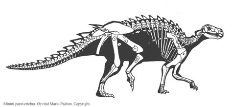 Minmi Pictures & Facts - The Dinosaur Database