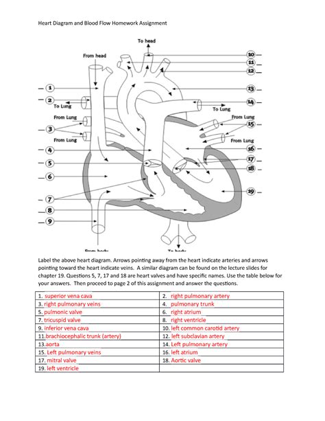 Heart Diagram and Blood Flow WS FA22 - Heart Diagram and Blood Flow ...