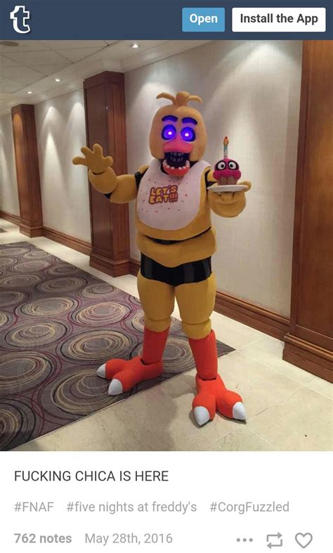 Chica visits Confuzzled! Made a few friends at the same time. | Fnaf ...