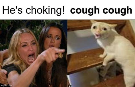 cats coughing cat Memes & GIFs - Imgflip