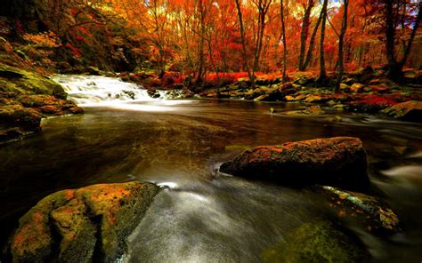 Autumn River Wallpapers - Top Free Autumn River Backgrounds ...