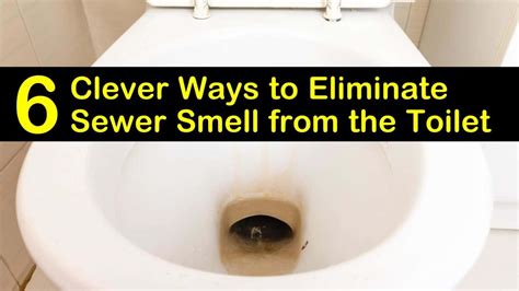 6 Clever Ways to Eliminate Sewer Smell from the Toilet in 2020 ...