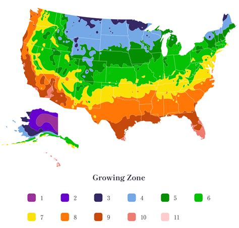 Zone 4b Planting Schedule 2024 - Jodie Lynnett