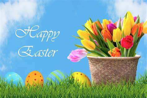 Download Tulip Flower Grass Colorful Easter Egg Basket Happy Easter ...