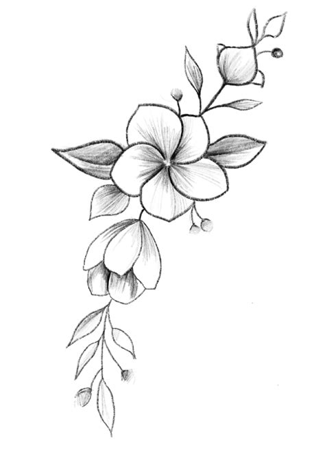 Beautiful Flower Drawings - PDF Coloring Page