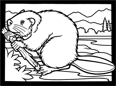 Free Beaver Coloring Pages