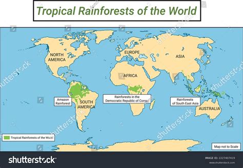 Rainforests World Tropical Rainforest Map Stock Vector (Royalty Free ...