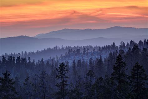 Aerial photography of forest during sunrise HD wallpaper | Wallpaper Flare