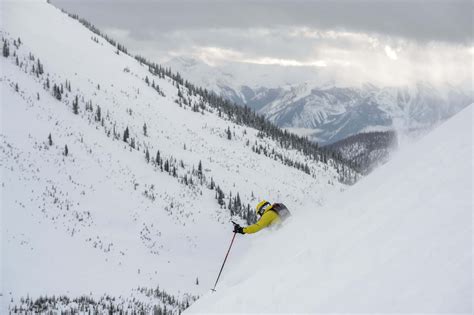 Chatter Creek Cat-Skiing | Real Mountain Experience in Golden, BC