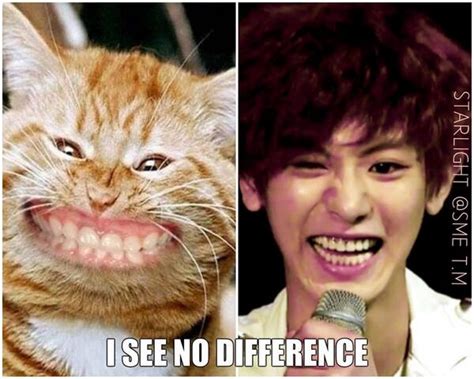 I see no difference - EXO Photo (37012947) - Fanpop