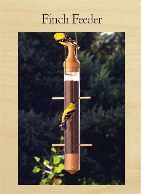 Finch Bird Feeder | Woodworking Project | Woodsmith Plans