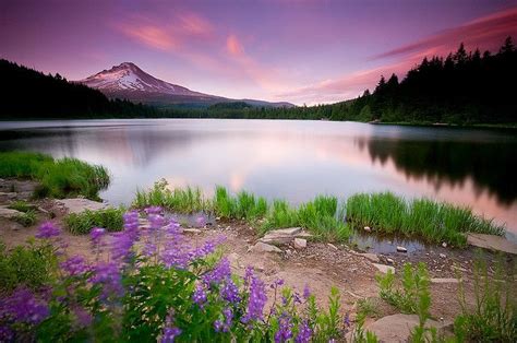 Trillium Lake - 2008 | Beautiful landscape wallpaper, Hd nature ...