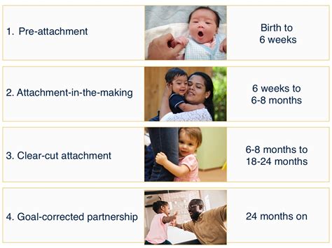 Phases of Attachment Development | Institute for Learning and Brain ...