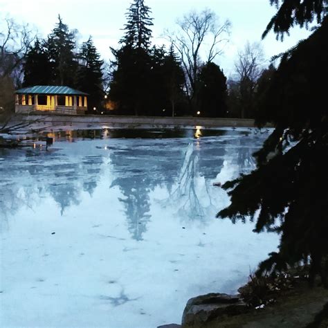 Frozen Pond - Light Stalking