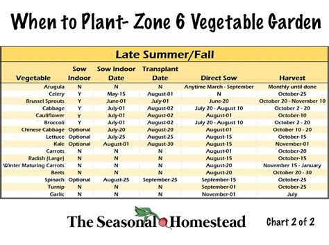 When to Plant Vegetables in Zone 6 – The Seasonal Homestead in 2022 ...