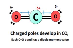 Is CO2 Polar or Nonpolar? - Polarity of Carbon dioxide