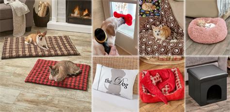 7 Fun Pet Gift Ideas For Christmas | LTD Commodities