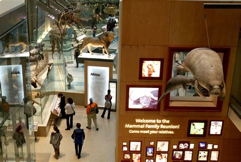 Smithsonian National Museum of Natural History