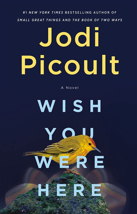 Famed author Jodi Picoult novelizes the pandemic in new book 'Wish You ...