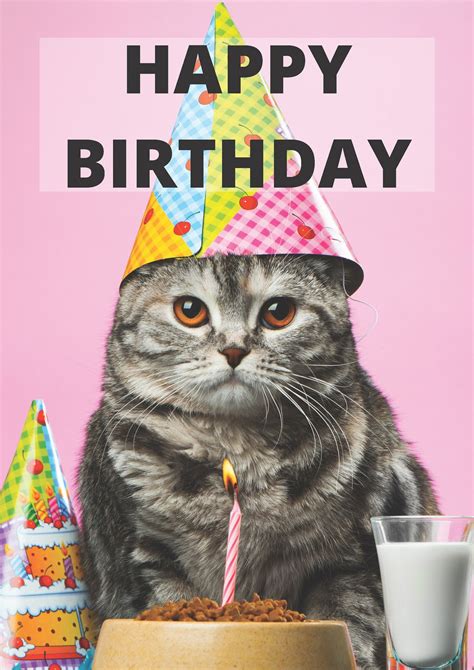 Happy Birthday Cat Greeting Card Cute Grey Grumpy Cat | Etsy