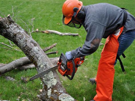 Fellers Tree Felling, tree felling, tree trimming, stump removal and ...