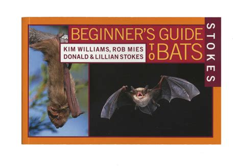 Beginner's Guide to Bats | BatBnB