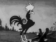 Rooster Crowing GIFs | Tenor