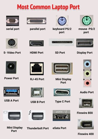 common laptop and computer port | Computer basic, Computer basics ...