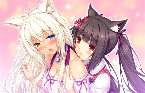 #Anime #Nekopara Chocola (Nekopara) Coconut (Nekopara) #1080P # ...