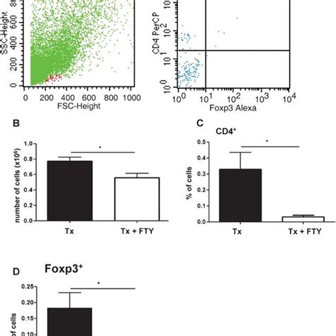 Evaluation of graft-infiltrating cells five days after F1 skin graft ...