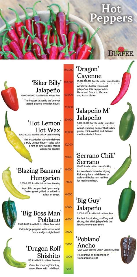 Hot Pepper Guide - Hot pepper varieties with average scoville units ...