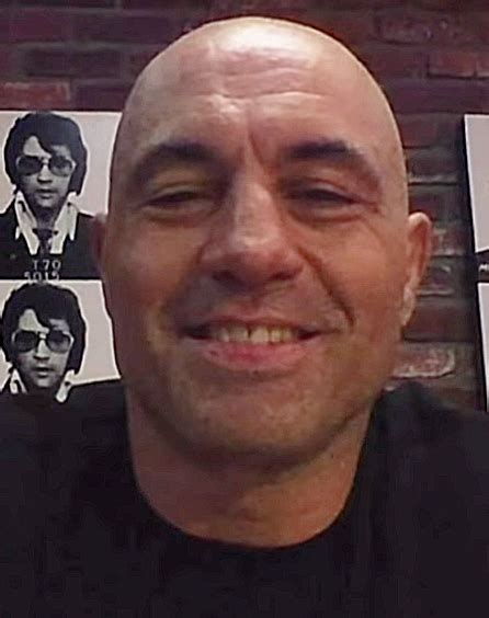 Joe Rogan - Wikipedia