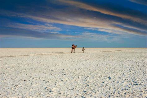 How to Visit Great Rann of Kutch: Essential Travel Guide