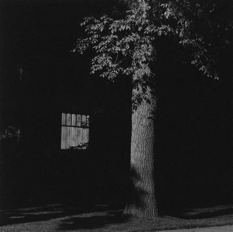 Something Between Want and Desire: Robert Adams, "Summer Nights ...