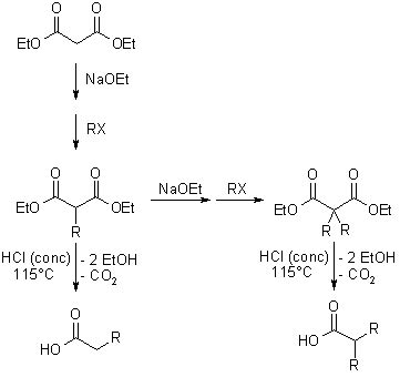 Malonic Ester Synthesis