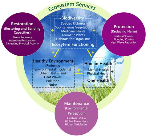 Frontiers | Editorial: Biodiversity, ecosystem functions and services ...