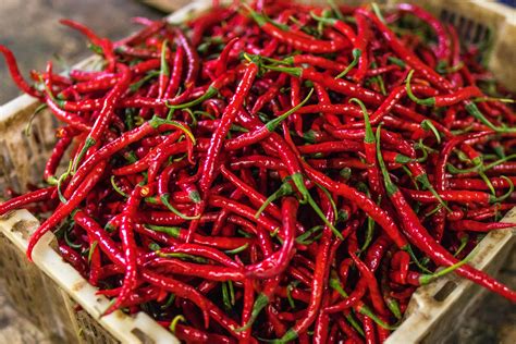 Best Practices to Grow Red Chilli: Climate, Soil & Harvesting Tips ...