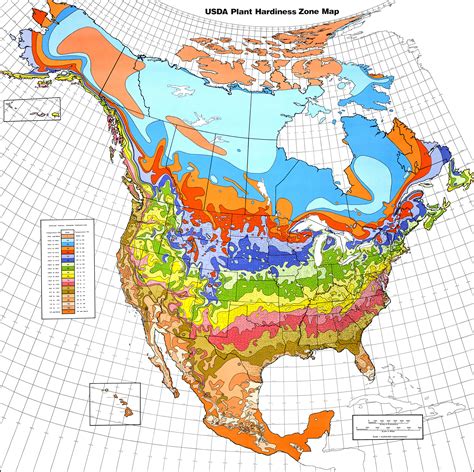 File:USDA Hardiness zone map.jpg - Wikipedia, the free encyclopedia