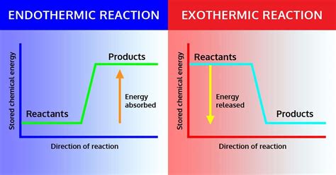 Endothermic and Exothermic Reactions Lab ⋆ iTeachly.com