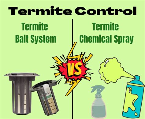 Everything you are curious about termite control