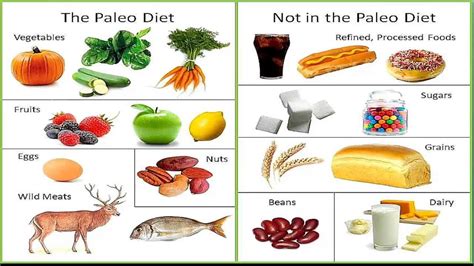 Paleo Diet - what is it, should you try it - Level 9 Fitness