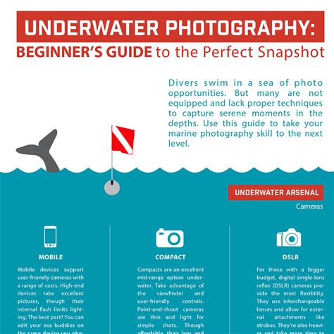 Underwater Photography Basics - Infographic | Mozaik UW