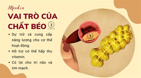 CHẤT BÉO LÀ GÌ? 5 LOẠI THỰC PHẨM CHỨA CHẤT BÉO LÀNH MẠNH CHO CƠ THỂ