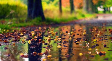 Rain And Autumn Wallpapers - Wallpaper Cave