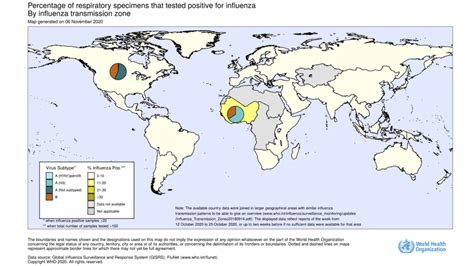 Influenza World Map