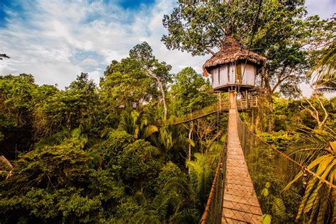 Treehouse Lodge Peru | Rainforest Cruises | Coole baumhäuser, Baumhaus ...